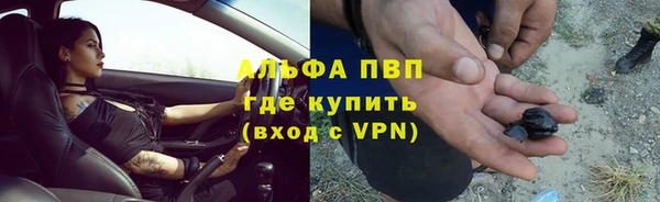 тгк Дмитровск