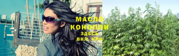 метадон Ельня