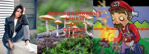 эйфоретик Дмитриев