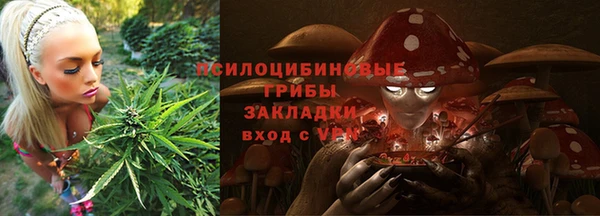 тгк Дмитровск