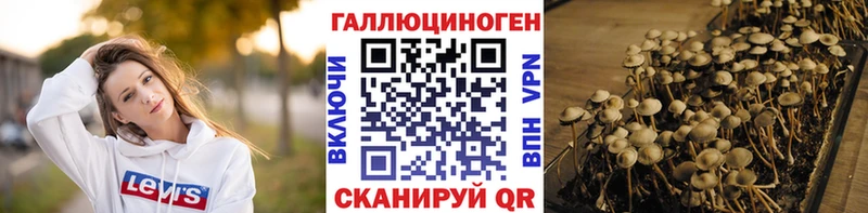 Купить закладки  Среднеуральск  Галлюциногенные грибы Cubensis 